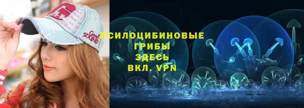 шишки Верхний Тагил