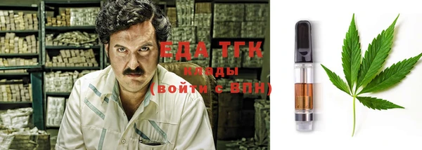 шишки Верхний Тагил