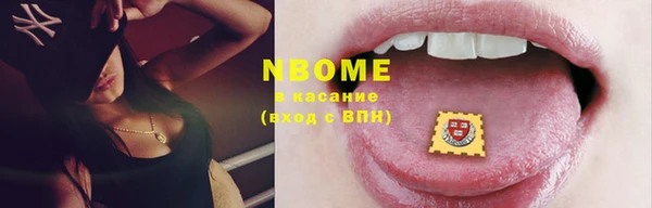 шишки Верхний Тагил